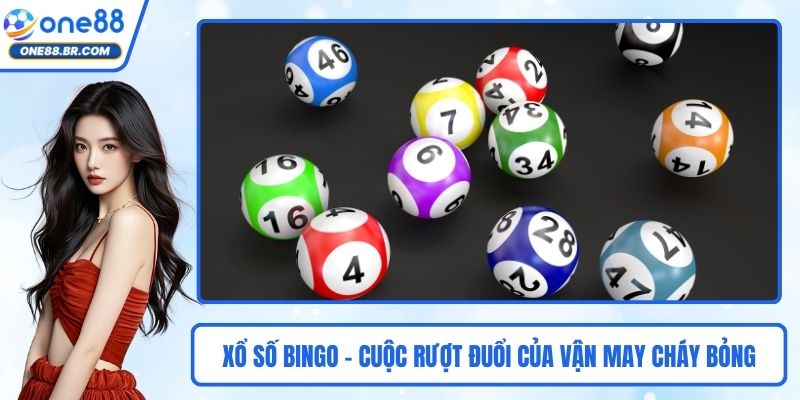 Xổ Số Bingo - Cuộc Rượt Đuổi Của Vận May Cháy Bỏng Tại ONE88
